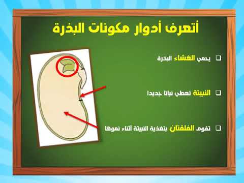 درس البذور