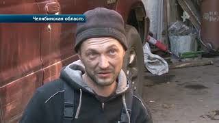 В Челябинской области собаки едва не загрызли 8-летнего мальчика В Челябинской области собаки едва не загрызли 8-летнего мальчика