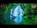 Peaceful Relaxation Music to Reduce Stress, Anxiety, and Depression • Mind Healing Tunes