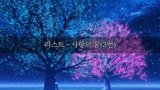 리스트 사랑의 꿈 3번