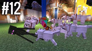 DOG FIGHT - Minecraft Survival Part 12 DOG FIGHT - Minecraft Survival Part 12