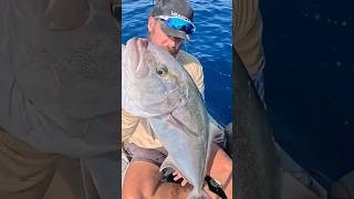 Πόσο την κάνεις την καραγκιδα;;;;😱😱 #ψάρεμα #fishing #kayakfishing