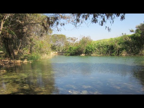 וִידֵאוֹ: מעיינות חמים סביב רינו וצפון נבדה