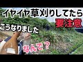 [まさかの結末]草刈りで行政に物申すつもりが….！なんで道路脇のこのボーボーのとこ農家が刈らないといけないんですかね？これ言ったらまずいかな！