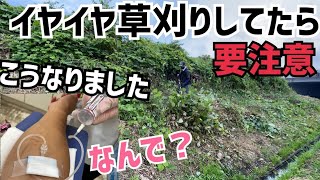 [まさかの結末]草刈りで行政に物申すつもりが….なんで道路脇のこのボーボーのとこ農家が刈らないといけないんですかねこれ言ったらまずいかな