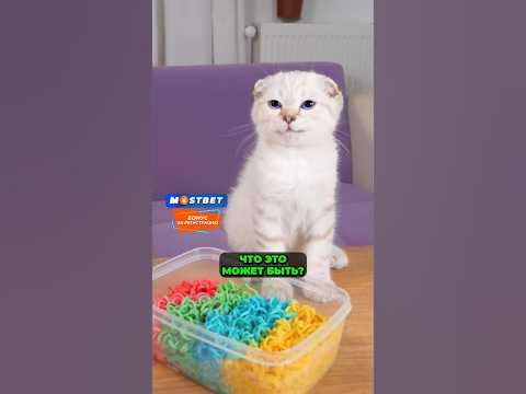 Самая ДОРОГАЯ ЛАПША быстрого приготовления 🇰🇷🍜 - YouTube