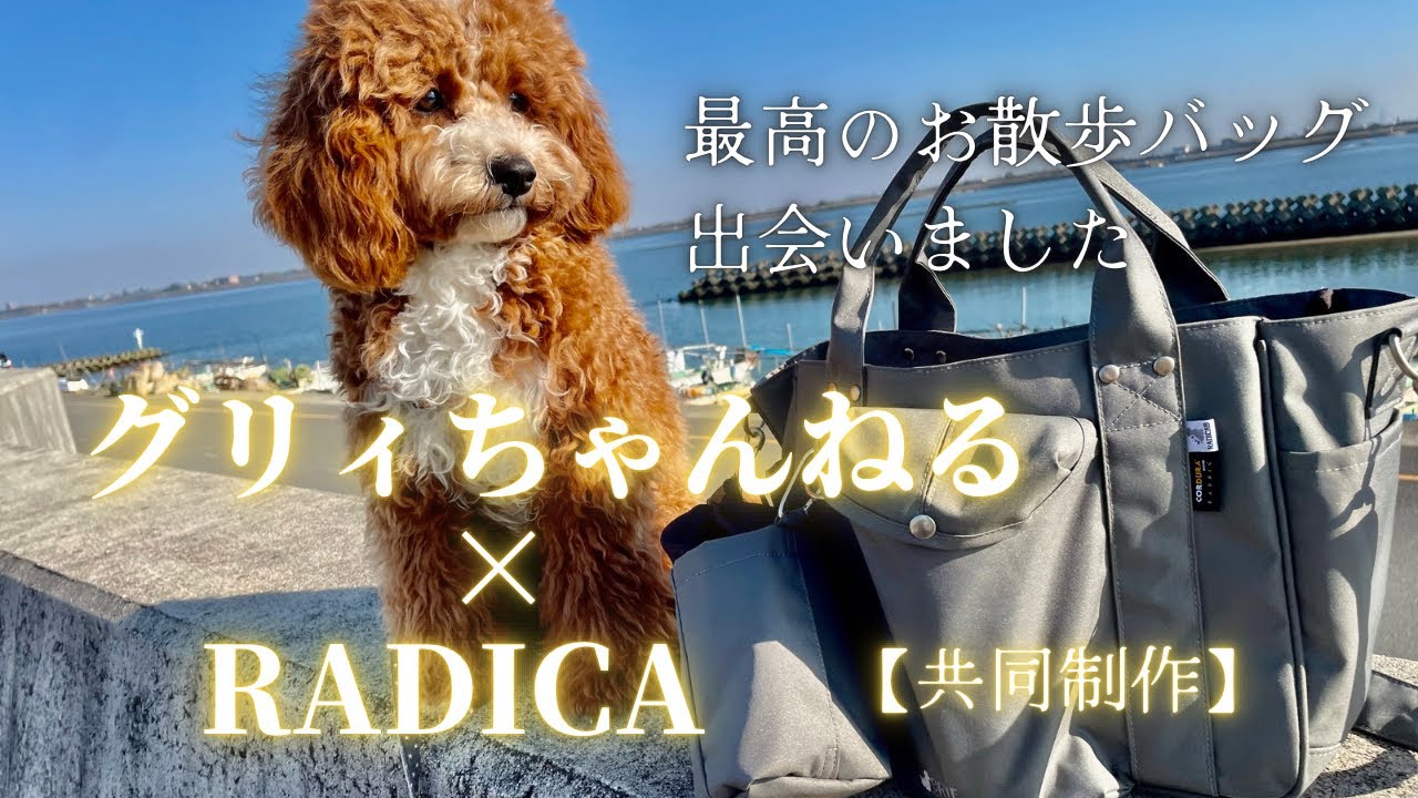 【グリィちゃんねる × RADICA】最高のお散歩バッグに出会いました