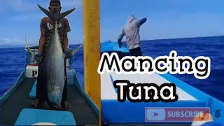 Mancing Tuna Sirip Kuning The Rahma Taleger