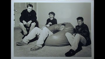 The Mandelbrot Set - first demo (1990)