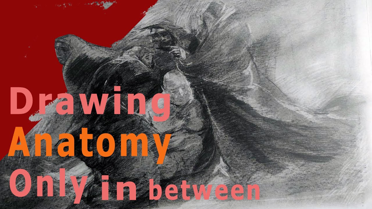 Only in between Drawing anatomy pencil on paper - YouTube