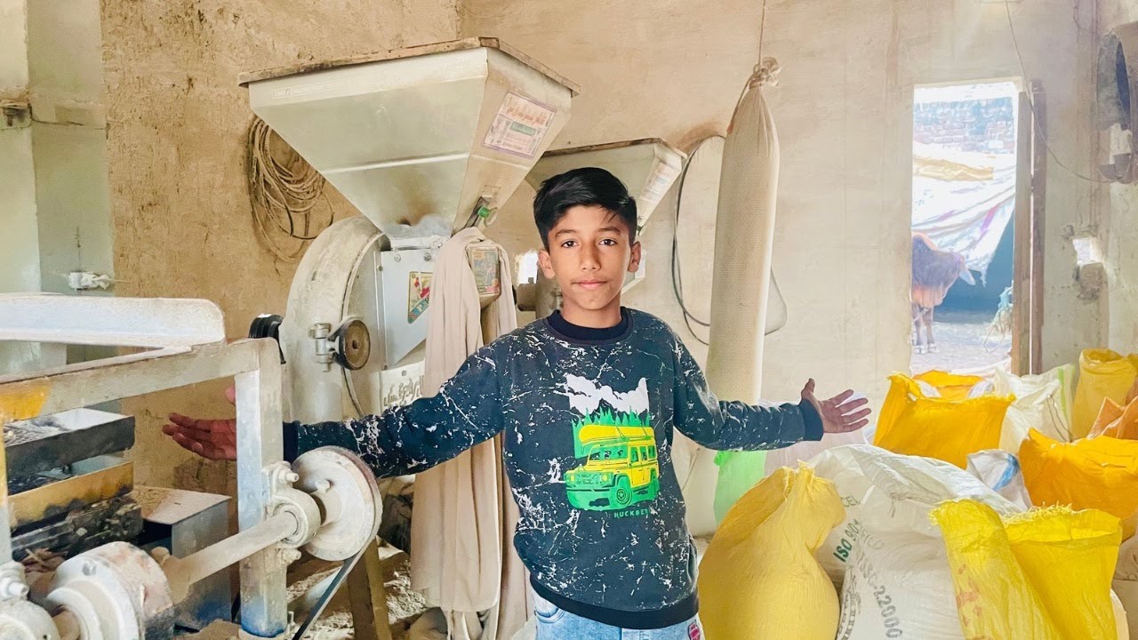 How Flour Making Machine Works 🌾  | Wheat Flour Making Process | How Floor Is Made