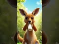 Dhinka chika dhinka chika 😻💃🏻 #cat #cute #pets #funny #dudidam #dudidudidam #baby #kangaroo
