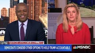 Famous Cynthia Alksne on MSNBC Valentine's Day - what is next for Trump? Profile