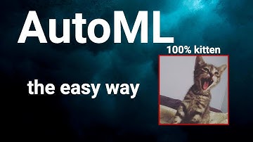 AutoML from start to finish, step-by-step