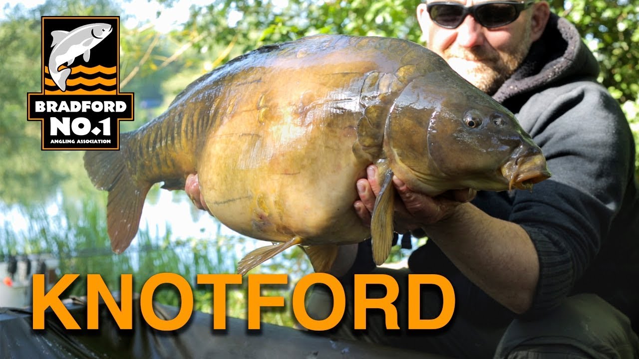 Bradford No1 AA Knotford - 2016