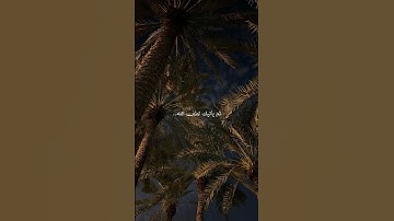 سورة الحجر 🩶 القارئ هزاع البلوشي #اكسبلور #راحة_نفسية #لايك