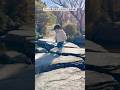 息子の行動ひとつひとつが儚くて愛おしい【小さな5歳児】 #日常 #難病 #shortvideo #かわいい #きっちゃんねる