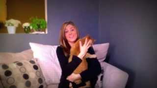 Schticky Infomercial