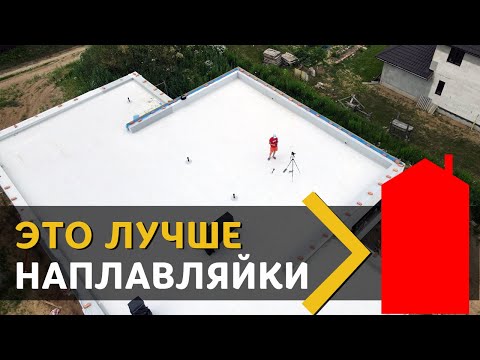 Видео: Какво правят ветеринарните техници?