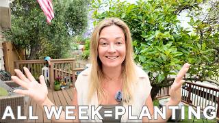 I Couldn’t Stop Planting This Week 😂 | Front deck refresh + OB Restaurant Projects Profile