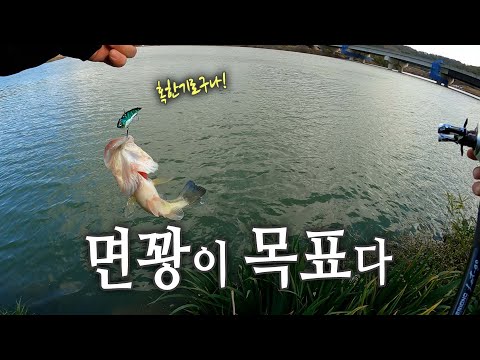 혹한기에는 한 마리가 소중하지! 면꽝의 시즌이 왔다