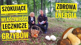 Szokujące właściwości lecznicze grzybów. Grzybobranie z Prof. Bożeną Muszyńską