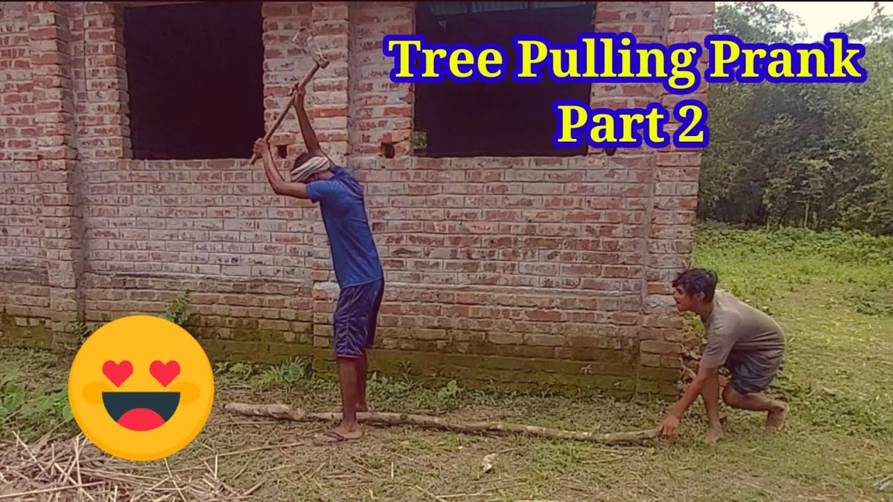 Tree Pulling Prank in Village Part 2 || Super Prank BD