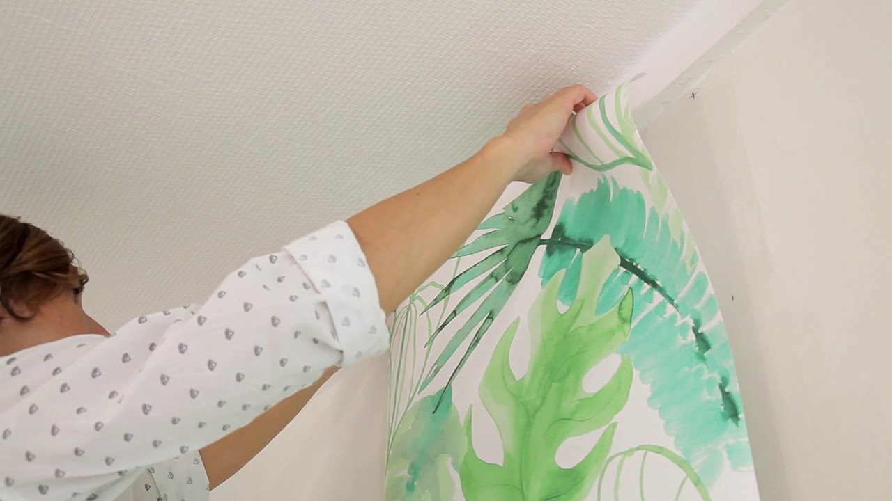 VIDEO COLLE QUELYD TPP