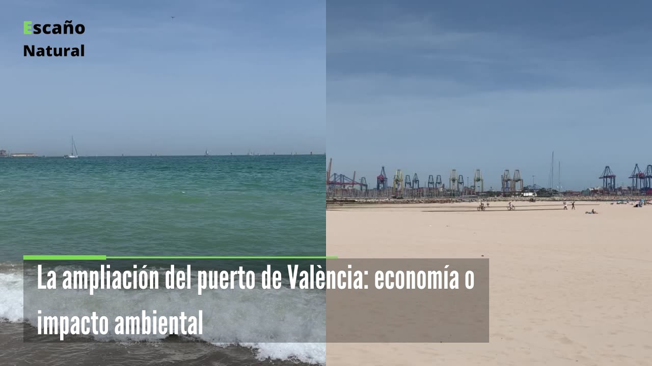 La ampliación del Puerto de València: economía o impacto ambiental