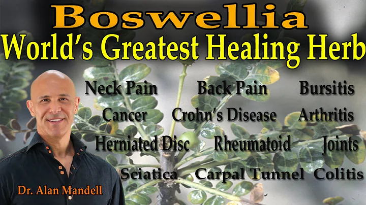 Boswellia - The World's Greatest Healing Herb (Inf...