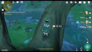 Genshin Impact 2021 - Search in the tree for 3 traces of the wind (0/3) -