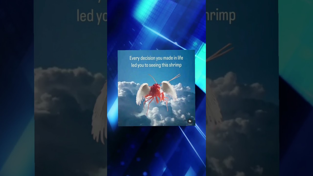 Programming memes, only humor 