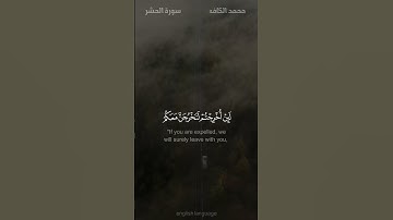 ألم تر إلى الذين نافقوا يقولون لإخوانهم الذين كفروا - #محمد_الكاف  - #سورة_الحشر #حالة_واتس