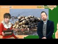 【れんこん】うまいもんどころ×いばキラTV（H27.1.23）