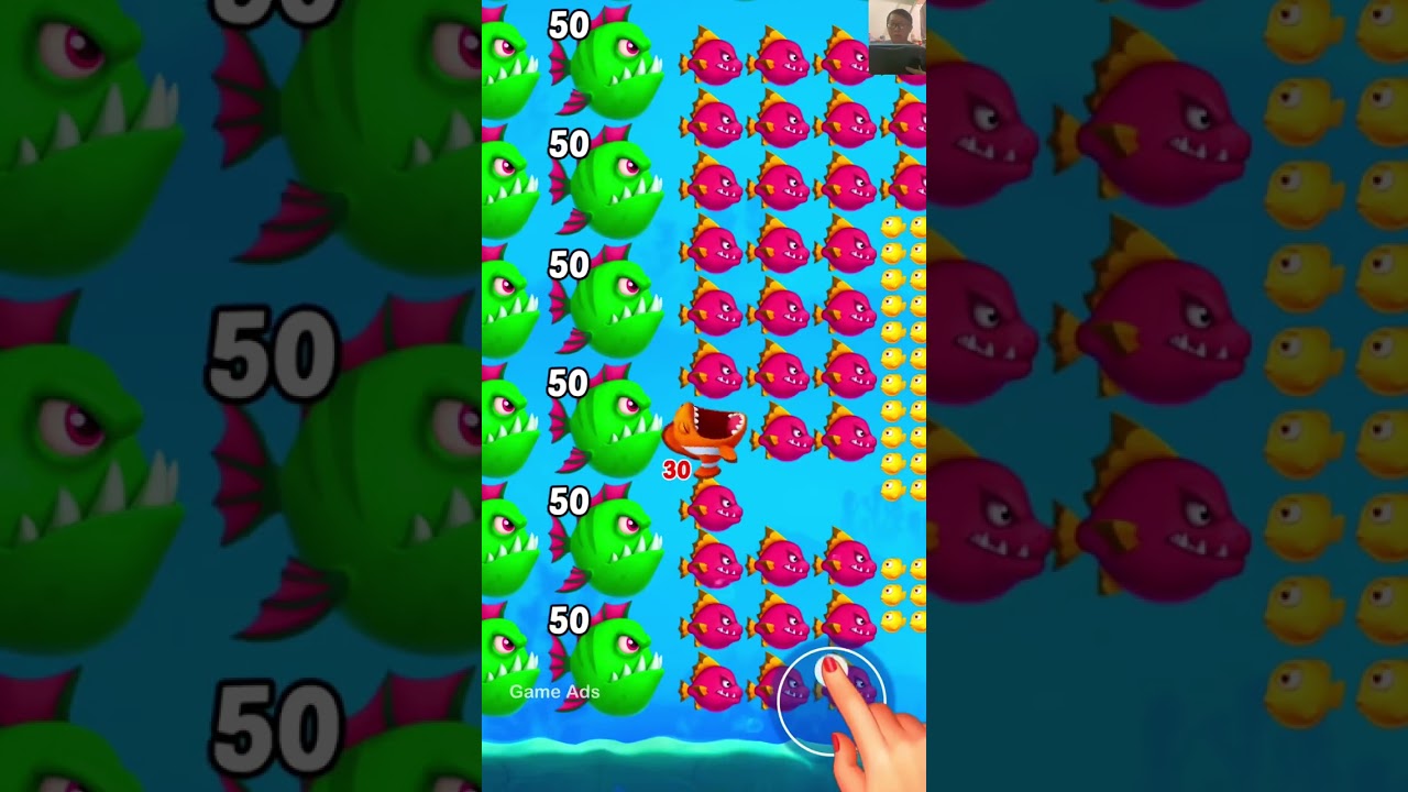 Fishdom ads mini game review new level update: Fish Survival 03  