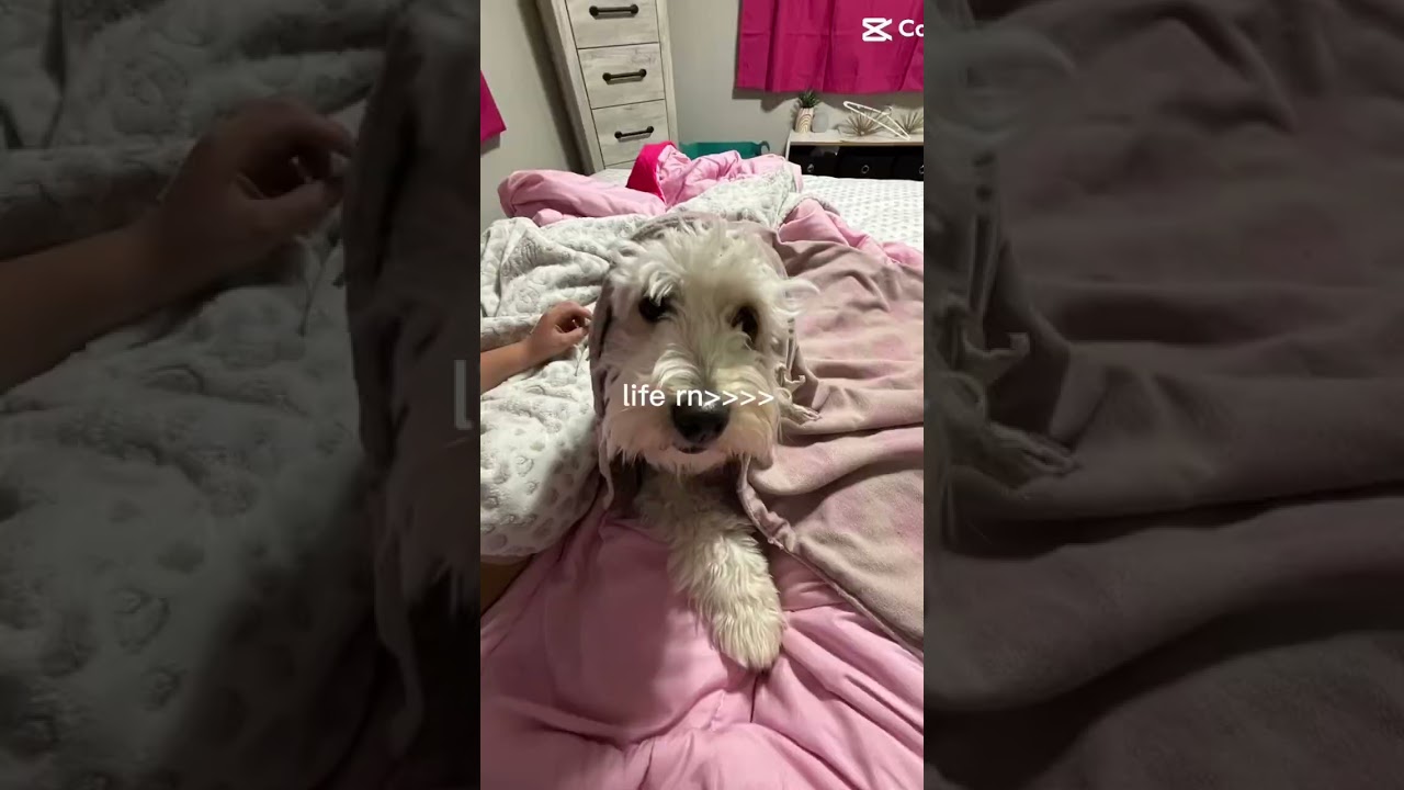 Summer 👟👙🪼🌺🐚🥥🧿also I just got back home from 