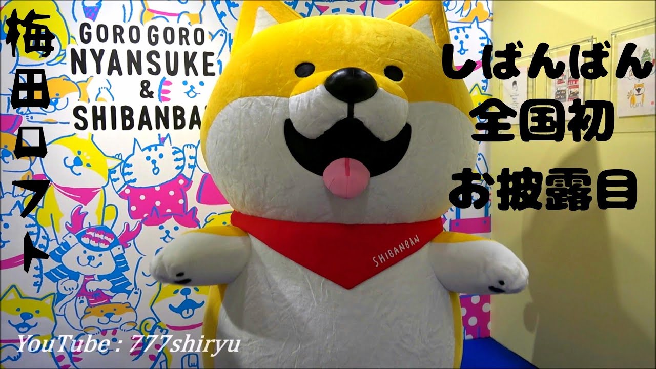 【ごろごろにゃんすけ＆しばんばん】しばんばん梅田ロフトで全国初お披露目キャラクターグリーティング撮影会ショー★期間限定ポップアップストア開店記念
