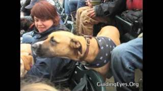 Mets Bark in the Park at Citi Field April 23 2011