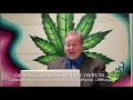 Cannabis Common Sense 1024