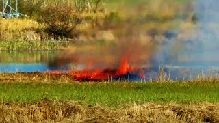 PointCrow's Set Catches on Fire