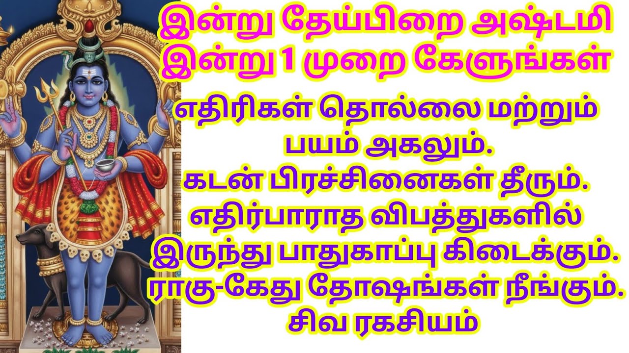 கடன் பிரச்சினைகள் தீரும்.எதிர்பாராத விபத்துகளில் இருந்து பாதுகாப்பு கிடைக்கும். தோஷங்கள் நீங்கும். 