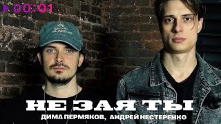 Дима Пермяков, Андрей Нестеренко - Не зая ты | Official Audio | 2023
