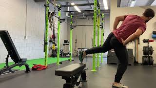 Hip Airplane Rotation (Back Foot Support)