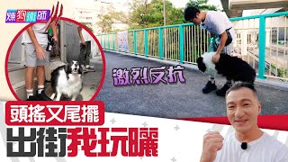 屈臣氏 Wats Petmacy 寵物藥妝呈獻：煉狗術師III｜EP19 Part2｜頭搖又尾擺 出街我玩曬！｜Eric Ko｜鄺芷凡｜邊境牧羊犬｜HOY｜HOYTV