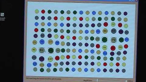Multiple Lenses in Single Display Groupware