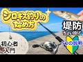 【堤防ちょい投げ釣り】シロギス釣りの始め方 ～5つのポイント～