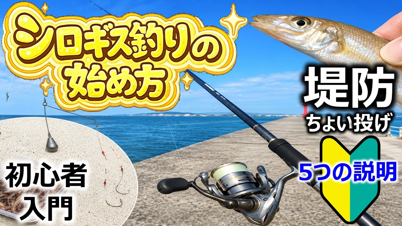 【堤防ちょい投げ釣り】シロギス釣りの始め方 ～5つのポイント～