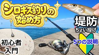 【堤防ちょい投げ釣り】シロギス釣りの始め方 ～5つのポイント～