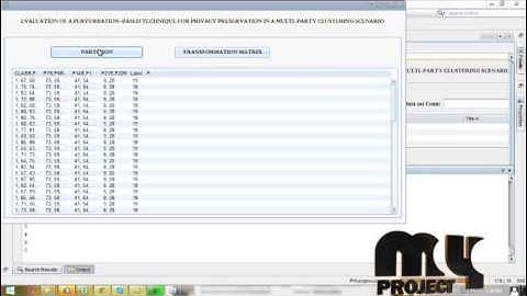 Final Year Projects | Evaluation of a perturbation-based technique