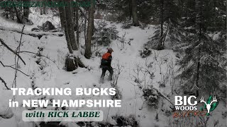 Tracking Bucks in New Hampshire with Rick Labbe | BIG WOODS BUCKS